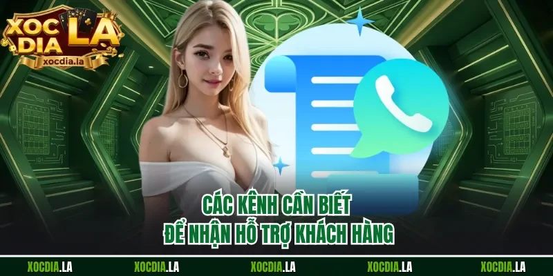 Các kênh cần biết để nhận hỗ trợ khách hàng