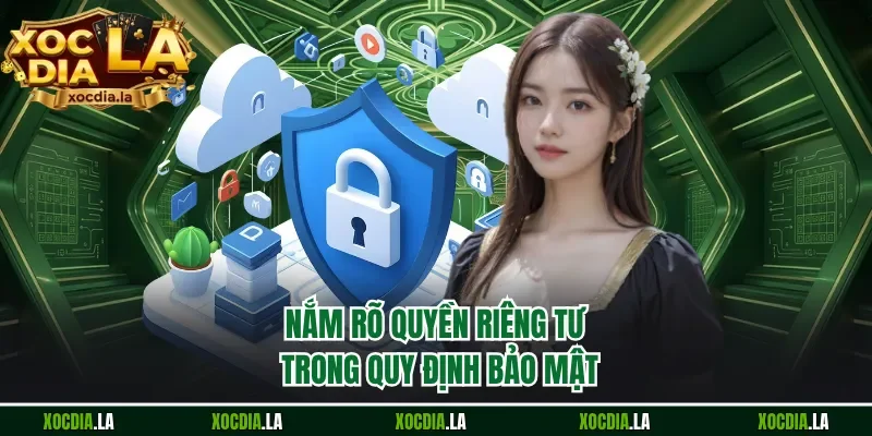 Nắm rõ quyền riêng tư trong quy định bảo mật